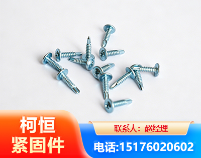 德州华司钻尾丝