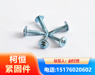 德州华司钻尾丝